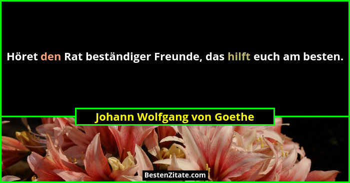 Höret den Rat beständiger Freunde, das hilft euch am besten.... - Johann Wolfgang von Goethe