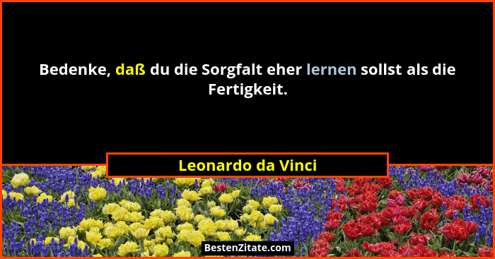 Bedenke, daß du die Sorgfalt eher lernen sollst als die Fertigkeit.... - Leonardo da Vinci