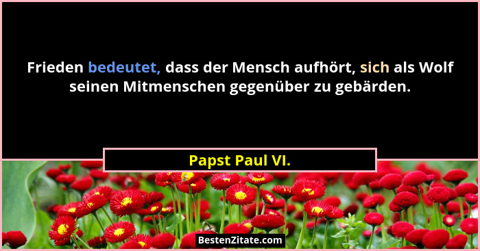 Frieden bedeutet, dass der Mensch aufhört, sich als Wolf seinen Mitmenschen gegenüber zu gebärden.... - Papst Paul VI.