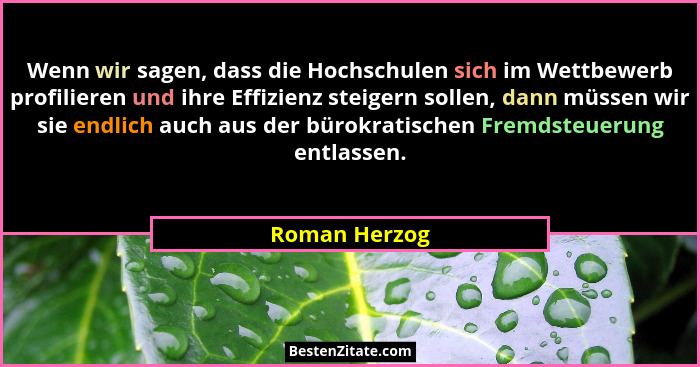 Wenn wir sagen, dass die Hochschulen sich im Wettbewerb profilieren und ihre Effizienz steigern sollen, dann müssen wir sie endlich auc... - Roman Herzog