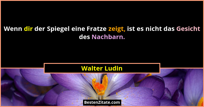 Wenn dir der Spiegel eine Fratze zeigt, ist es nicht das Gesicht des Nachbarn.... - Walter Ludin