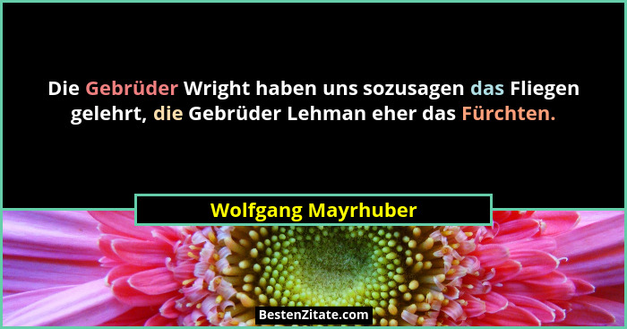 Die Gebrüder Wright haben uns sozusagen das Fliegen gelehrt, die Gebrüder Lehman eher das Fürchten.... - Wolfgang Mayrhuber