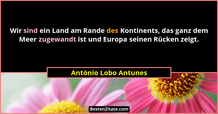 Wir sind ein Land am Rande des Kontinents, das ganz dem Meer zugewandt ist und Europa seinen Rücken zeigt.... - António Lobo Antunes