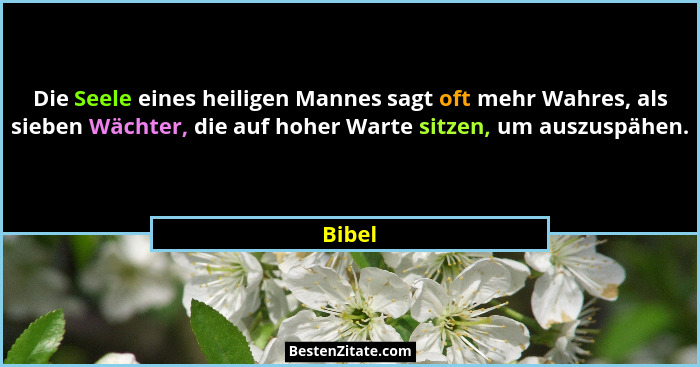 Die Seele eines heiligen Mannes sagt oft mehr Wahres, als sieben Wächter, die auf hoher Warte sitzen, um auszuspähen.... - Bibel