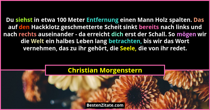 Du siehst in etwa 100 Meter Entfernung einen Mann Holz spalten. Das auf den Hackklotz geschmetterte Scheit sinkt bereits nach... - Christian Morgenstern