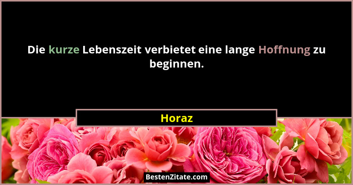 Die kurze Lebenszeit verbietet eine lange Hoffnung zu beginnen.... - Horaz