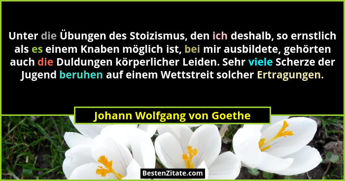 Unter die Übungen des Stoizismus, den ich deshalb, so ernstlich als es einem Knaben möglich ist, bei mir ausbildete, gehö... - Johann Wolfgang von Goethe