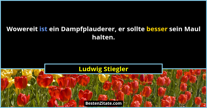 Wowereit ist ein Dampfplauderer, er sollte besser sein Maul halten.... - Ludwig Stiegler