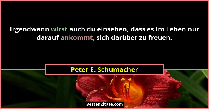 Irgendwann wirst auch du einsehen, dass es im Leben nur darauf ankommt, sich darüber zu freuen.... - Peter E. Schumacher