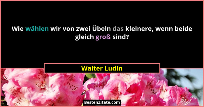 Wie wählen wir von zwei Übeln das kleinere, wenn beide gleich groß sind?... - Walter Ludin