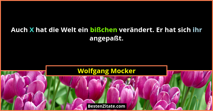 Auch X hat die Welt ein bißchen verändert. Er hat sich ihr angepaßt.... - Wolfgang Mocker
