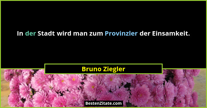In der Stadt wird man zum Provinzler der Einsamkeit.... - Bruno Ziegler