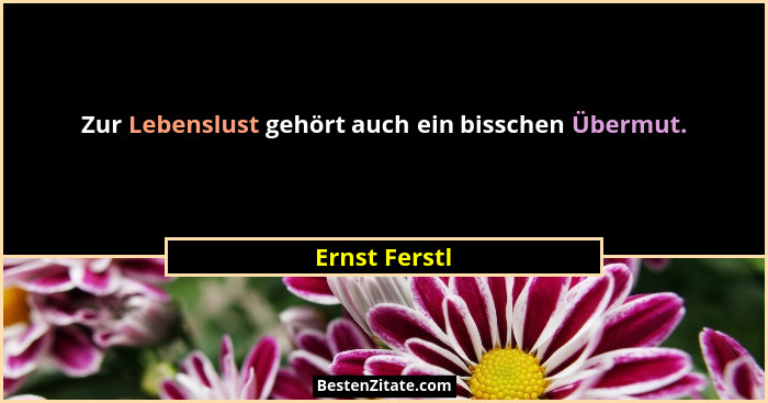 Zur Lebenslust gehört auch ein bisschen Übermut.... - Ernst Ferstl