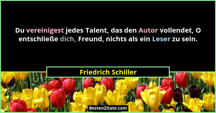 Du vereinigest jedes Talent, das den Autor vollendet, O entschließe dich, Freund, nichts als ein Leser zu sein.... - Friedrich Schiller