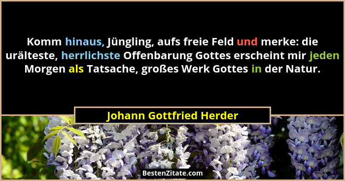 Komm hinaus, Jüngling, aufs freie Feld und merke: die urälteste, herrlichste Offenbarung Gottes erscheint mir jeden Morgen a... - Johann Gottfried Herder