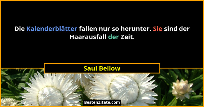 Die Kalenderblätter fallen nur so herunter. Sie sind der Haarausfall der Zeit.... - Saul Bellow
