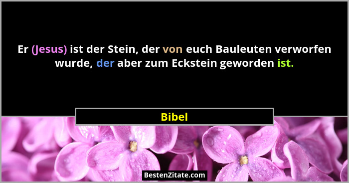 Er (Jesus) ist der Stein, der von euch Bauleuten verworfen wurde, der aber zum Eckstein geworden ist.... - Bibel