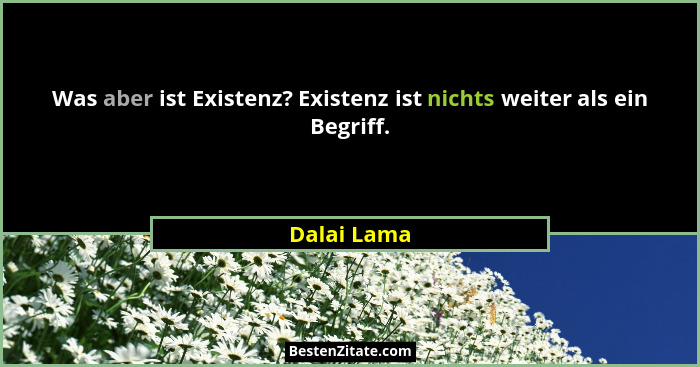Was aber ist Existenz? Existenz ist nichts weiter als ein Begriff.... - Dalai Lama