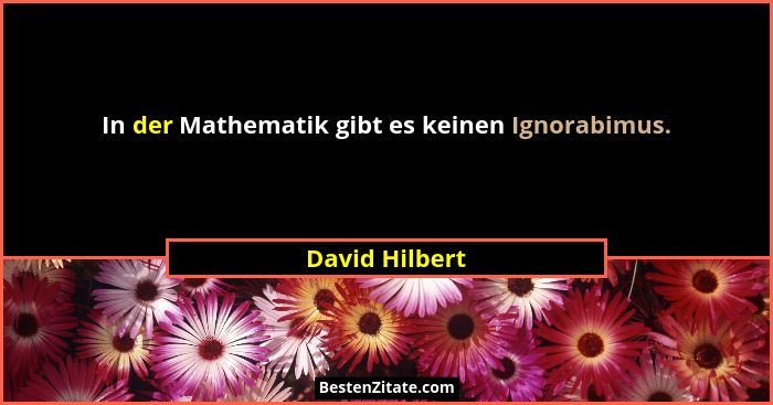 In der Mathematik gibt es keinen Ignorabimus.... - David Hilbert
