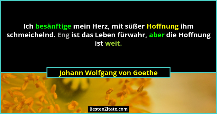 Ich besänftige mein Herz, mit süßer Hoffnung ihm schmeichelnd. Eng ist das Leben fürwahr, aber die Hoffnung ist weit.... - Johann Wolfgang von Goethe