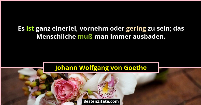 Es ist ganz einerlei, vornehm oder gering zu sein; das Menschliche muß man immer ausbaden.... - Johann Wolfgang von Goethe