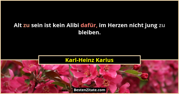 Alt zu sein ist kein Alibi dafür, im Herzen nicht jung zu bleiben.... - Karl-Heinz Karius