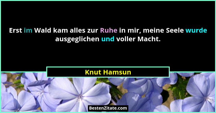 Erst im Wald kam alles zur Ruhe in mir, meine Seele wurde ausgeglichen und voller Macht.... - Knut Hamsun