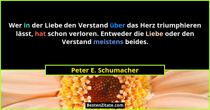 Wer in der Liebe den Verstand über das Herz triumphieren lässt, hat schon verloren. Entweder die Liebe oder den Verstand meisten... - Peter E. Schumacher