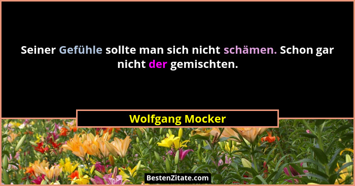 Seiner Gefühle sollte man sich nicht schämen. Schon gar nicht der gemischten.... - Wolfgang Mocker
