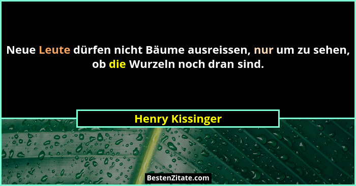 Neue Leute dürfen nicht Bäume ausreissen, nur um zu sehen, ob die Wurzeln noch dran sind.... - Henry Kissinger