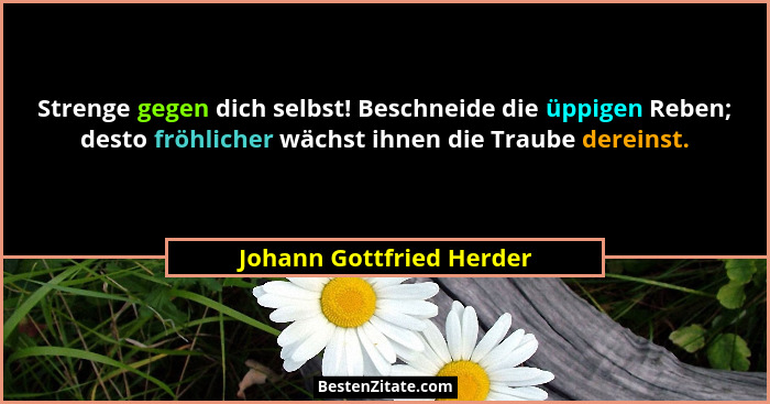 Strenge gegen dich selbst! Beschneide die üppigen Reben; desto fröhlicher wächst ihnen die Traube dereinst.... - Johann Gottfried Herder
