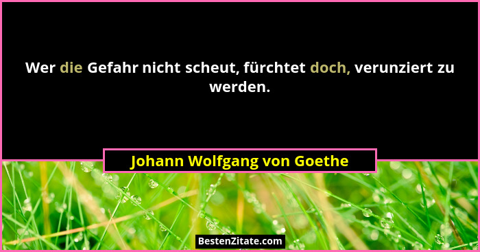 Wer die Gefahr nicht scheut, fürchtet doch, verunziert zu werden.... - Johann Wolfgang von Goethe