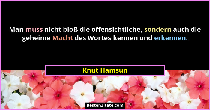 Man muss nicht bloß die offensichtliche, sondern auch die geheime Macht des Wortes kennen und erkennen.... - Knut Hamsun