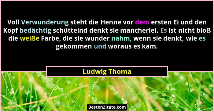 Voll Verwunderung steht die Henne vor dem ersten Ei und den Kopf bedächtig schüttelnd denkt sie mancherlei. Es ist nicht bloß die weiße... - Ludwig Thoma