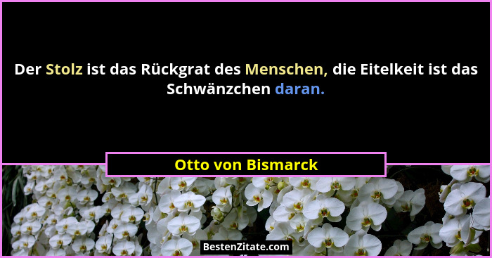 Der Stolz ist das Rückgrat des Menschen, die Eitelkeit ist das Schwänzchen daran.... - Otto von Bismarck