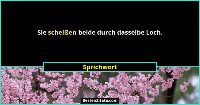 Sie scheißen beide durch dasselbe Loch.... - Sprichwort