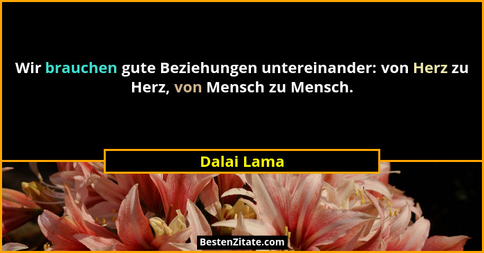 Wir brauchen gute Beziehungen untereinander: von Herz zu Herz, von Mensch zu Mensch.... - Dalai Lama