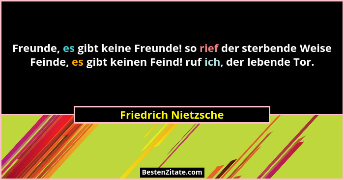 Freunde, es gibt keine Freunde! so rief der sterbende Weise Feinde, es gibt keinen Feind! ruf ich, der lebende Tor.... - Friedrich Nietzsche