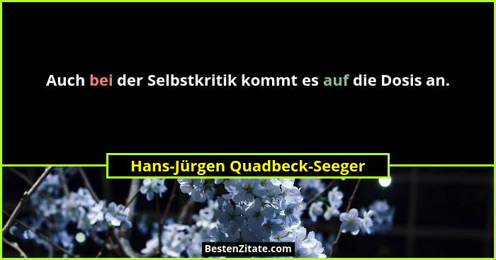 Auch bei der Selbstkritik kommt es auf die Dosis an.... - Hans-Jürgen Quadbeck-Seeger