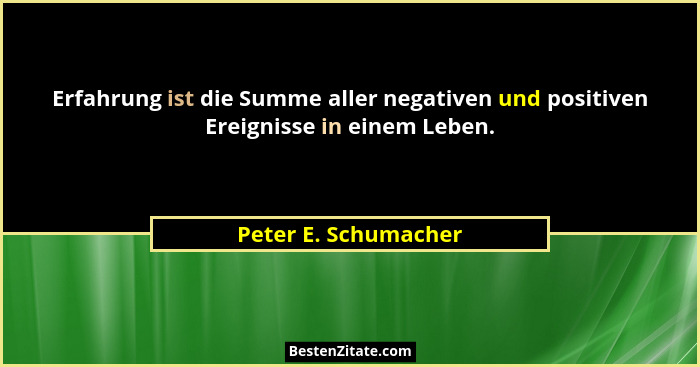 Erfahrung ist die Summe aller negativen und positiven Ereignisse in einem Leben.... - Peter E. Schumacher