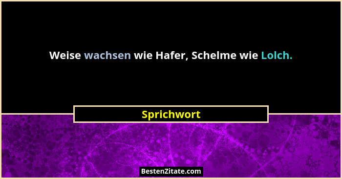 Weise wachsen wie Hafer, Schelme wie Lolch.... - Sprichwort