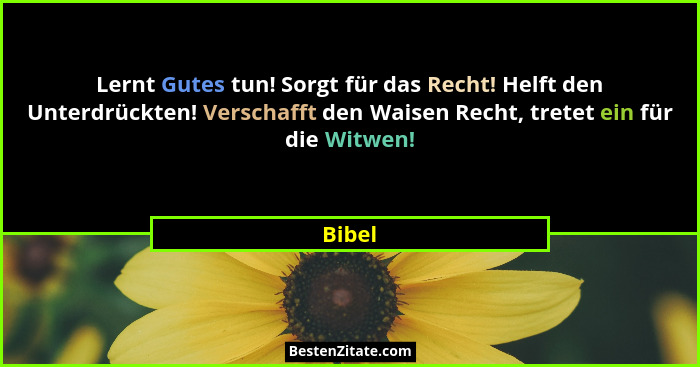 Lernt Gutes tun! Sorgt für das Recht! Helft den Unterdrückten! Verschafft den Waisen Recht, tretet ein für die Witwen!... - Bibel