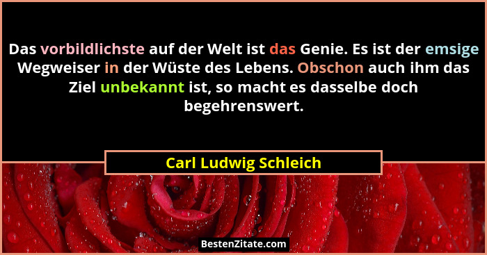 Das vorbildlichste auf der Welt ist das Genie. Es ist der emsige Wegweiser in der Wüste des Lebens. Obschon auch ihm das Ziel u... - Carl Ludwig Schleich