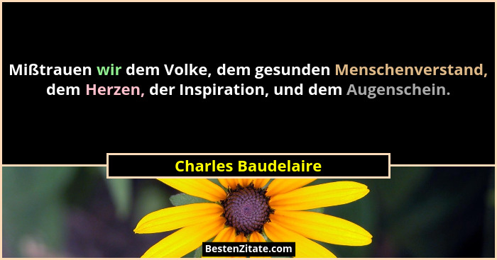 Mißtrauen wir dem Volke, dem gesunden Menschenverstand, dem Herzen, der Inspiration, und dem Augenschein.... - Charles Baudelaire