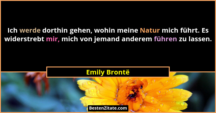 Ich werde dorthin gehen, wohin meine Natur mich führt. Es widerstrebt mir, mich von jemand anderem führen zu lassen.... - Emily Brontë