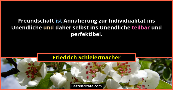 Freundschaft ist Annäherung zur Individualität ins Unendliche und daher selbst ins Unendliche teilbar und perfektibel.... - Friedrich Schleiermacher