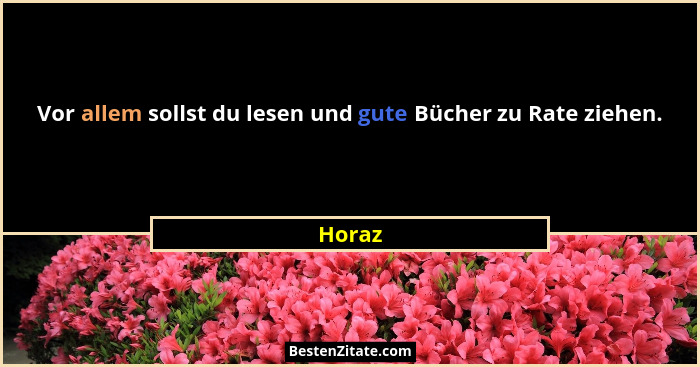 Vor allem sollst du lesen und gute Bücher zu Rate ziehen.... - Horaz