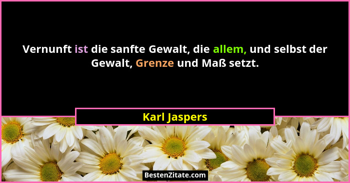 Vernunft ist die sanfte Gewalt, die allem, und selbst der Gewalt, Grenze und Maß setzt.... - Karl Jaspers