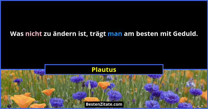 Was nicht zu ändern ist, trägt man am besten mit Geduld.... - Plautus