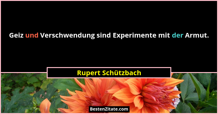 Geiz und Verschwendung sind Experimente mit der Armut.... - Rupert Schützbach
